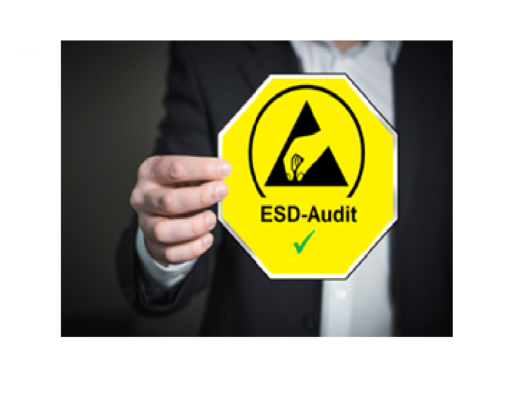 audit